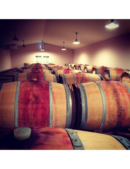 Château Moulin De La Rose 2019