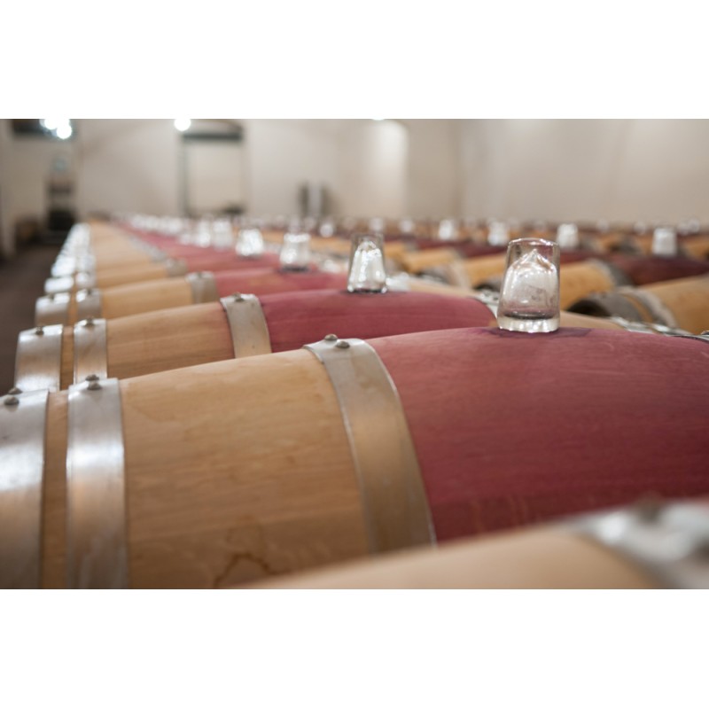 Château Segur De Cabanac 2018