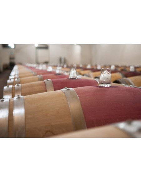 Château Segur De Cabanac 2018