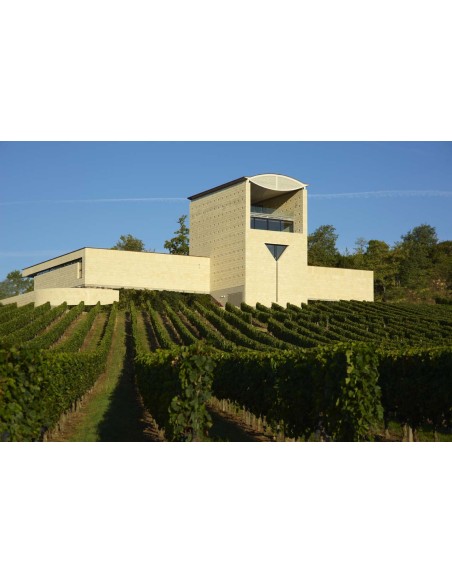 Château Faugères 2020