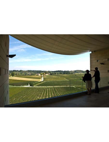 Château Faugères 2017