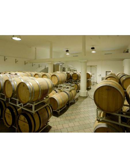 Virginie De Valandraud 2017