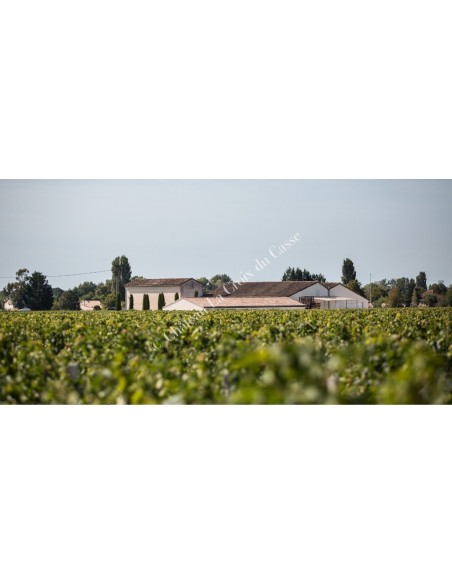 Château La Croix Du Casse 2018