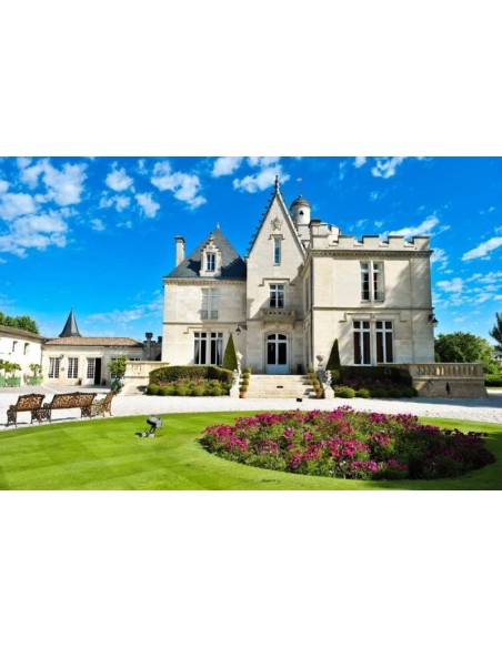 Château Pape Clément 2019