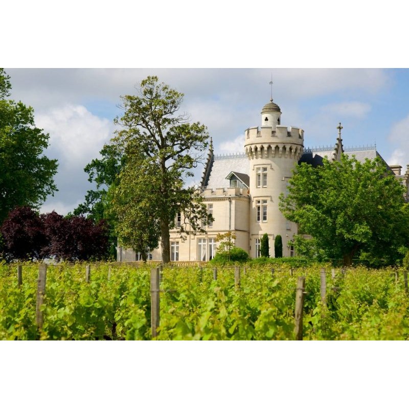 Château Pape Clément 2019