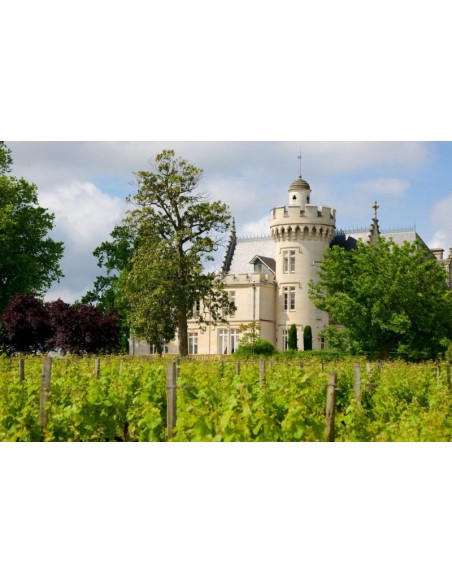 Château Pape Clément 2019