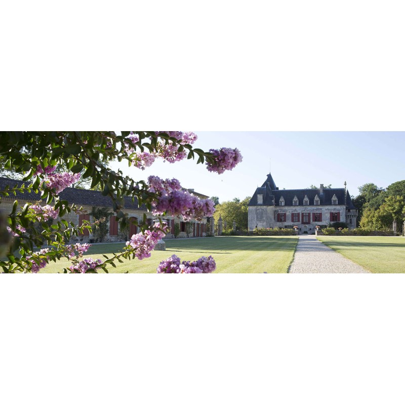 Château Olivier 2017