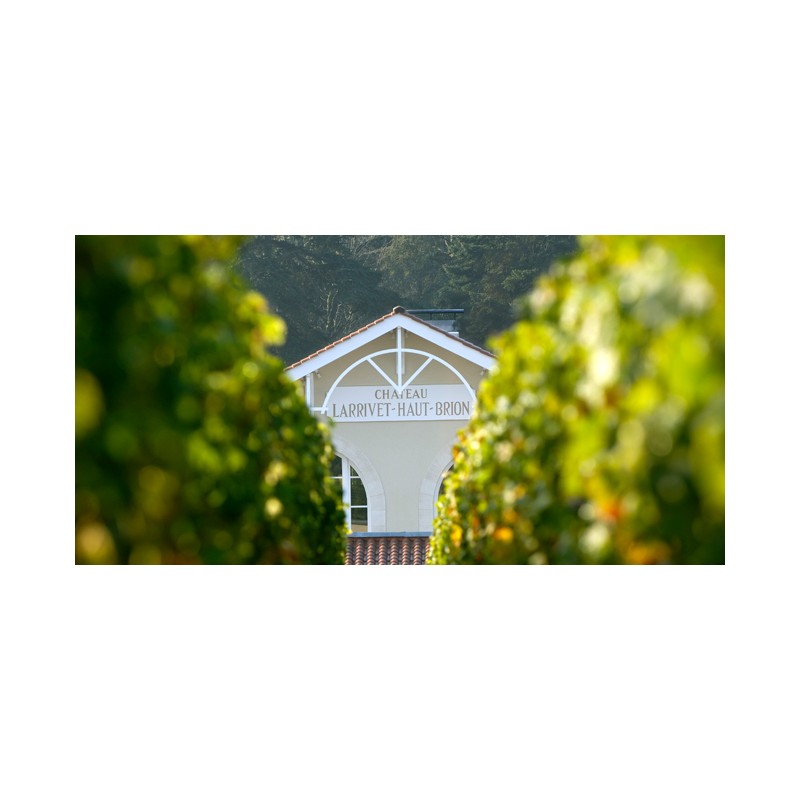 Château Larrivet Haut Brion 2019