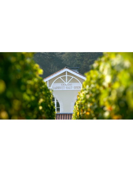 Château Larrivet Haut Brion 2019