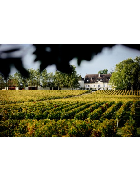 Château Bouscaut 2018