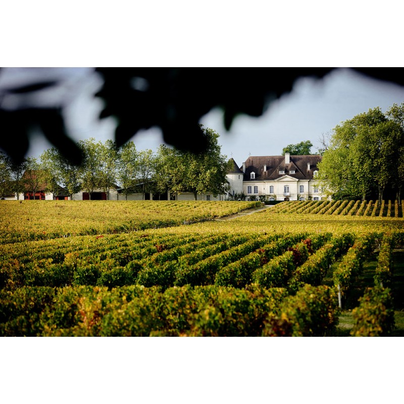 Château Bouscaut 2020