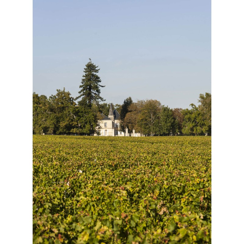 Château Lynch Moussa 2019