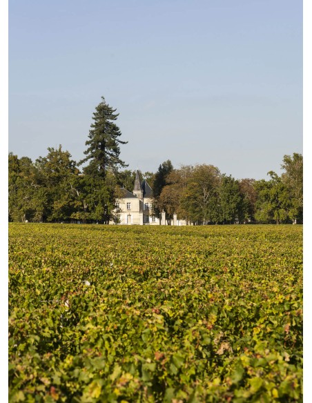 Château Lynch Moussa 2019