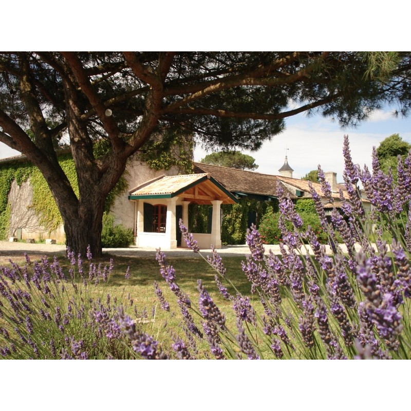 Château Monbrison 2018