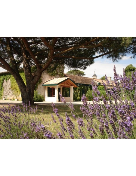 Château Monbrison 2018