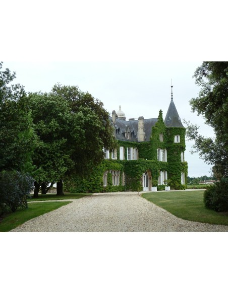 Château Lascombes 2020
