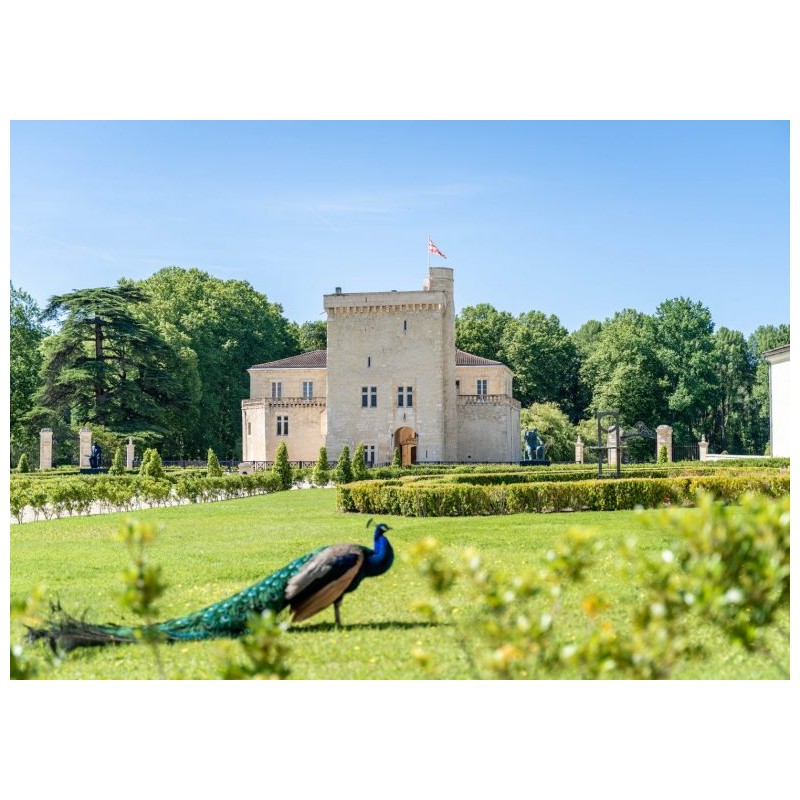 Château La Tour Carnet 2015