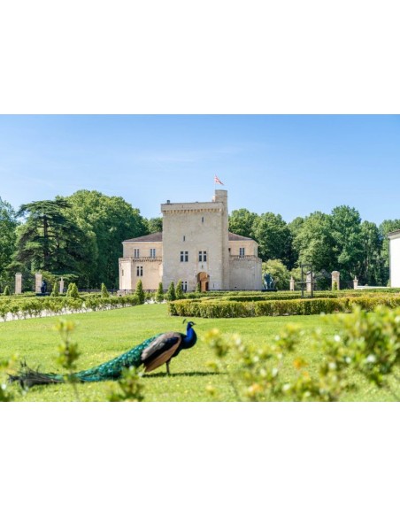 Château La Tour Carnet 2015