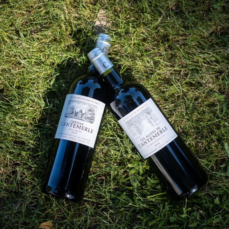 Château Cantemerle 2015