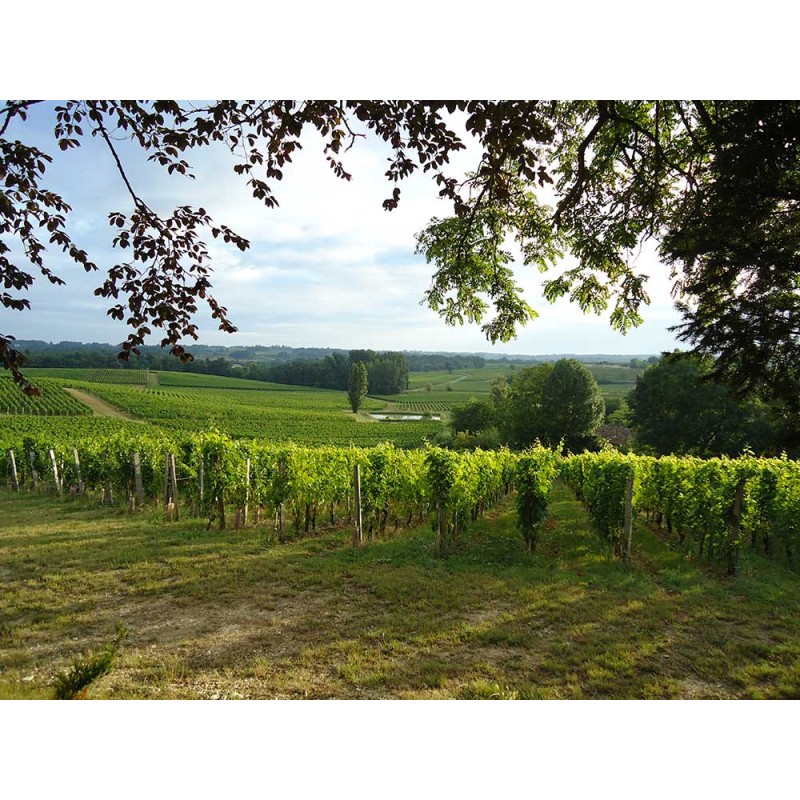 Château Valandraud 2018