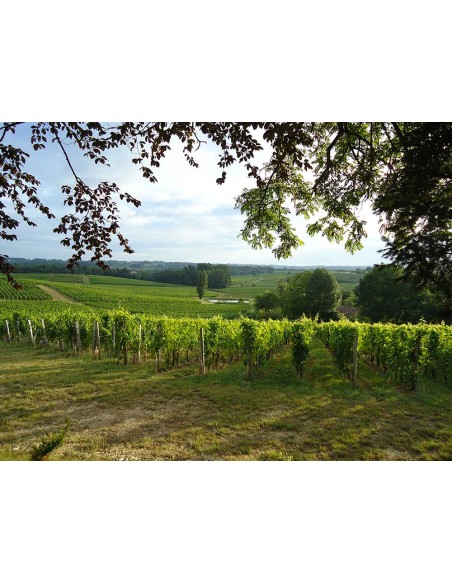 Château Valandraud 2018