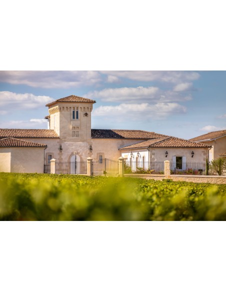 Clos Haut Peyraguey 2020